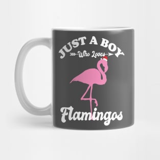 Just a Boy Who Loves Flamingos Mug